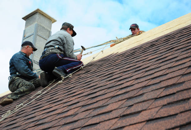 Best Roof Maintenance Services  in Pottsville, PA